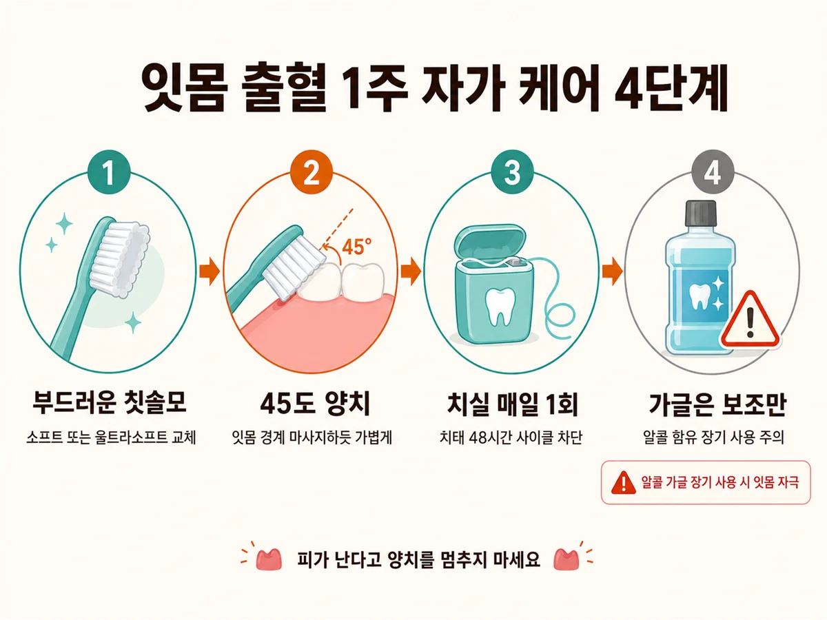 부드러운 칫솔모·45도 칫솔질·치실·가글 사용법을 정리한 잇몸 관리 안내