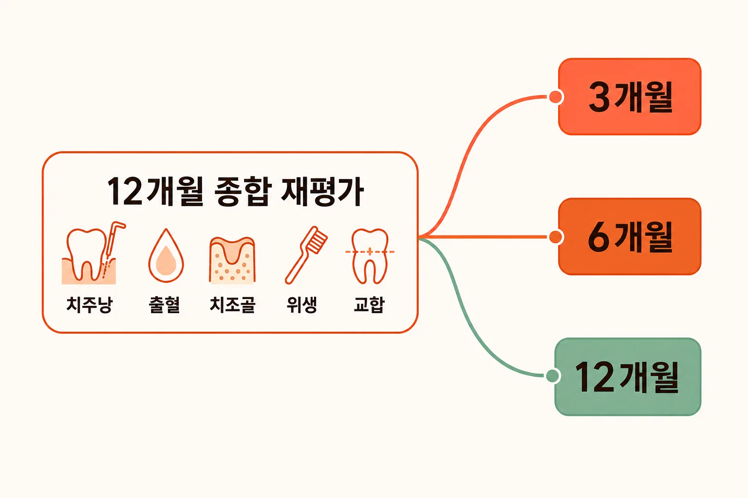 잇몸치료 후 12개월 재평가 결과에 따라 다음 검진을 3개월, 6개월, 12개월로 조정하는 인포그래픽